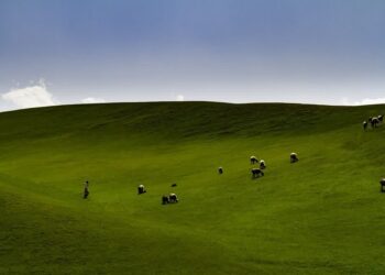 مرتعداران استان به گوش باشند؛ثبت مشخصات در سامانه سمتا و اخذ مجوز یکتا