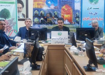 هشت و نیم میلیون اصله درخت سهمیه خراسان رضوی درطرح کاشت یک میلیون درخت