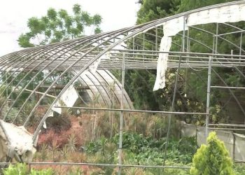 باد و طوفان بالغ بر ۷۵۰میلیارد ریال خسارت به بخش کشاورزی جوین وارد کرد