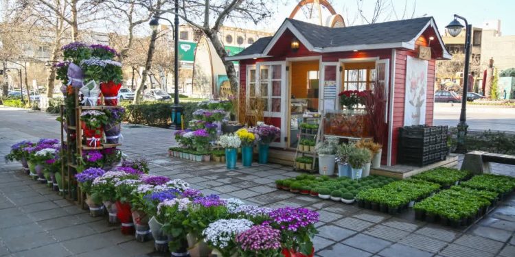 عرضه گل و گیاه در سه نقطه از شهر مشهد با هدف زیباسازی منظر شهری آغاز شد