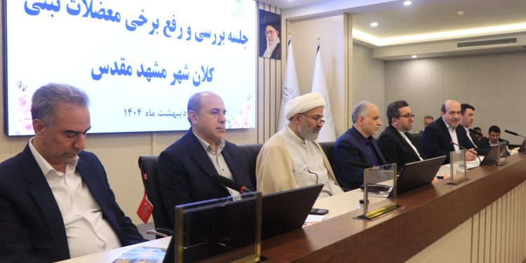 رفع مشکلات ثبتی ۶۰۰ خانوار از اهالی قلعه وکیل آباد مشهد