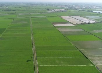  امور اراضی نیشابور جزو برترین های ارزیابی عملکرد استان خراسان رضوی