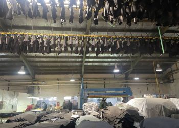  صفر تا صد تولید،صنعت چرم مشهد