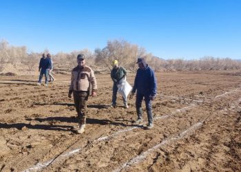 شروع احداث مجموعه نمایشی گونههای کویری و بیابانی در گناباد